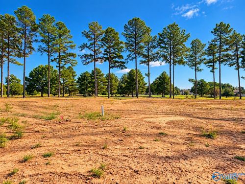 24424 Carnoustie Drive, Athens, AL, 35613 | Card Image