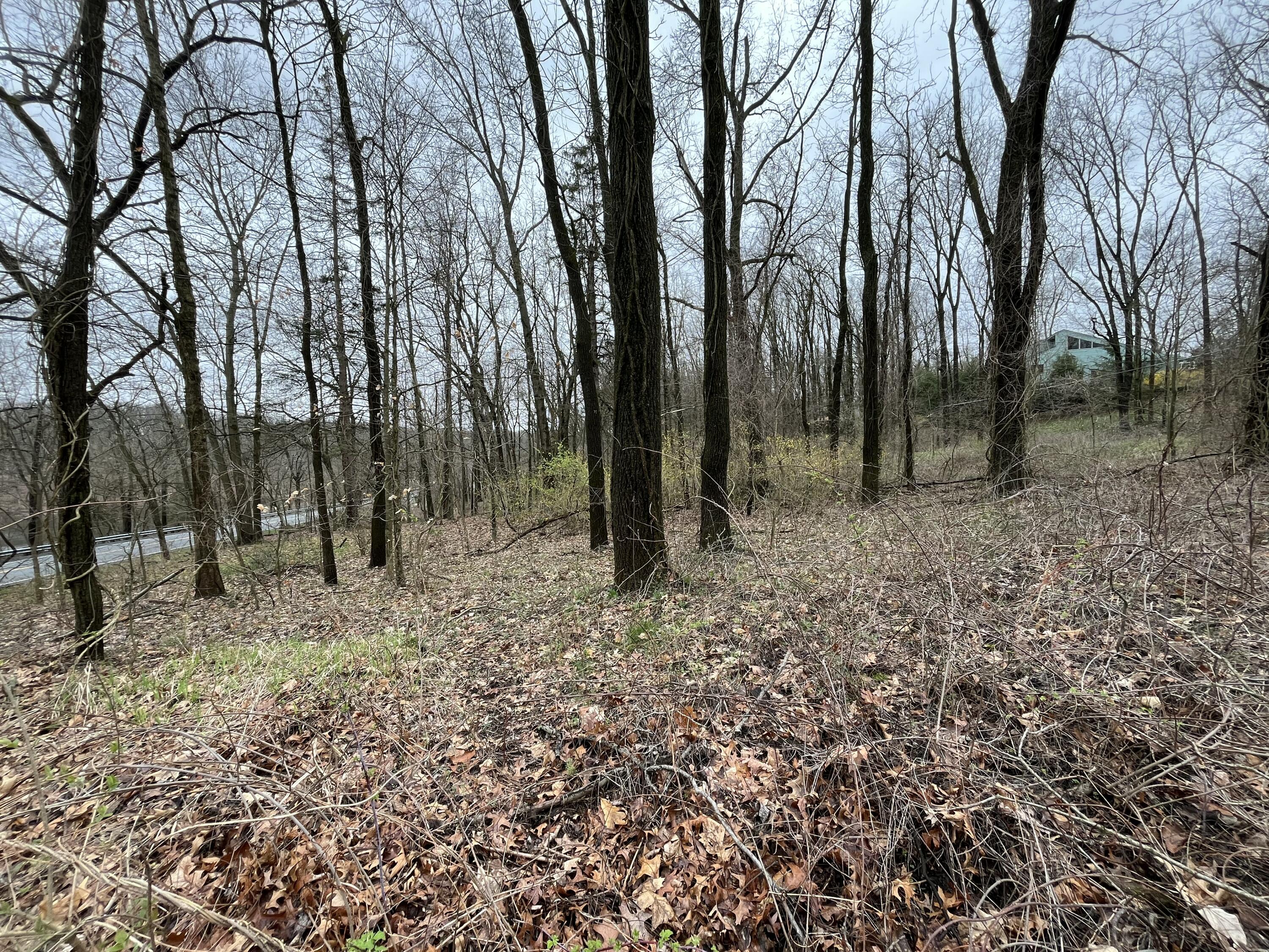 Land in Kalamazoo 5