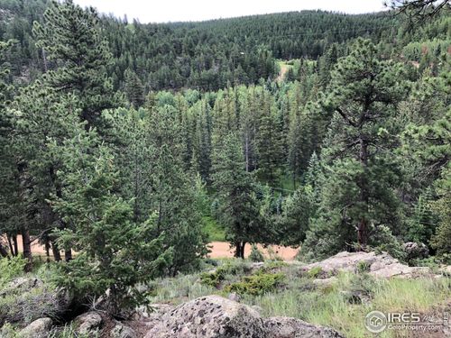 0 Cold Springs Rd, Nederland, CO, 80466 | Card Image