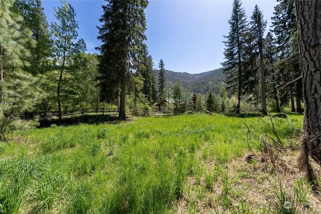 Fenced pasture | Image 34