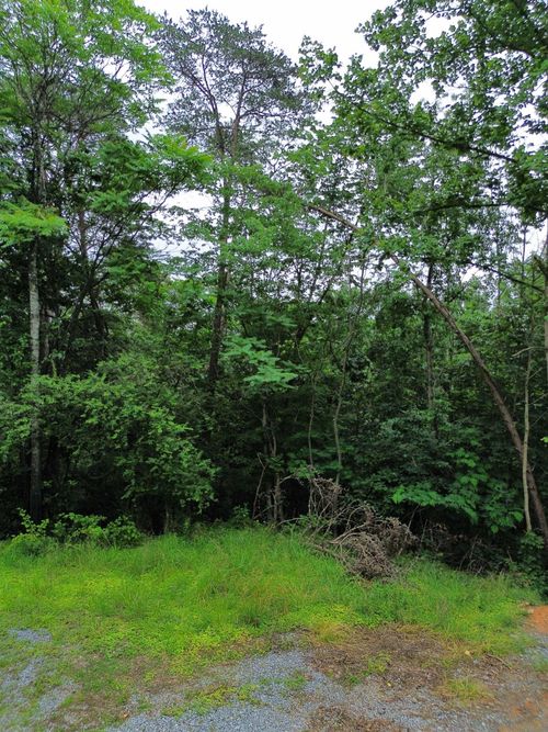 9 Lookout Dr, Shenandoah, VA, 22849 | Card Image