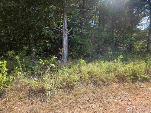 L14B4 Pawnee St, Cherokee Village, AR, 72529 | Card Image
