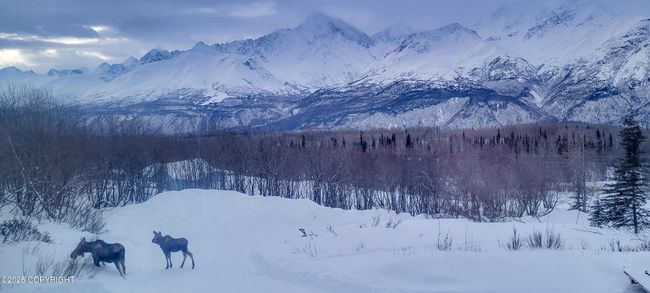 20220205_084629 | Image 140