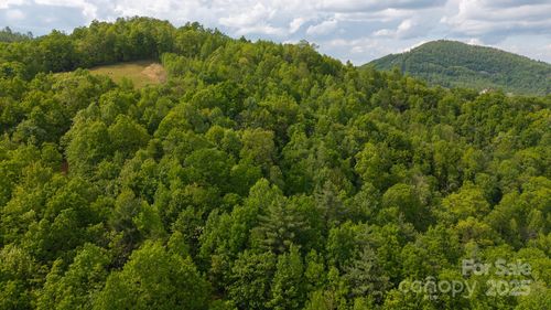 1-TBD Treadway Ridge Drive, Moravian Falls, NC, 28654 | Card Image