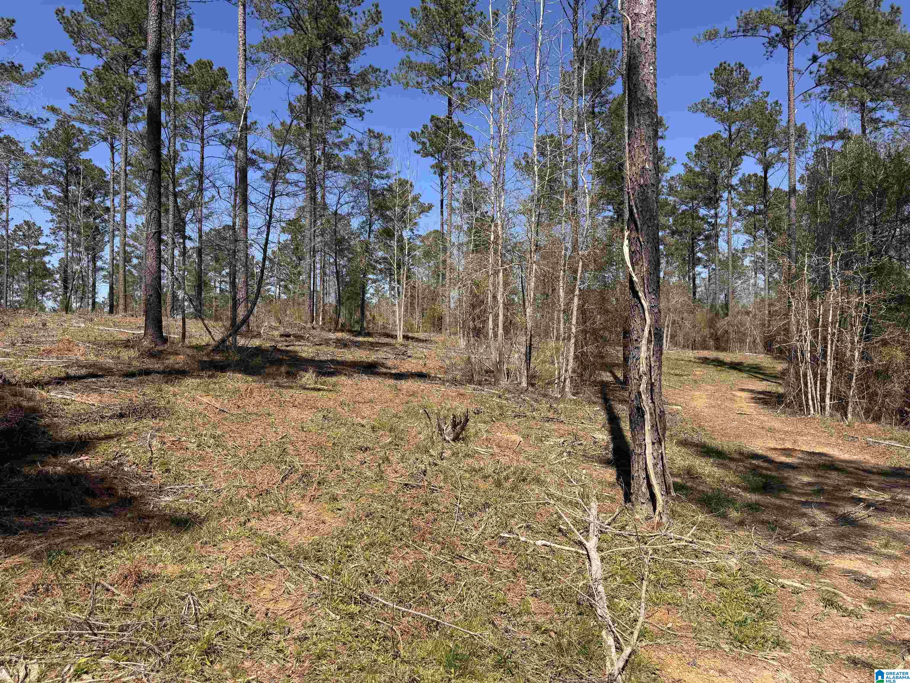 Land in NORTHPORT 2