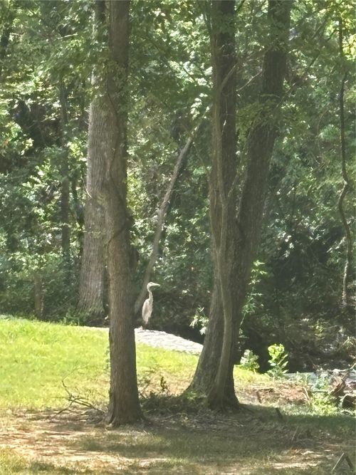 631 Kerby Dr, Denison, TX, 75020-4060 | Card Image