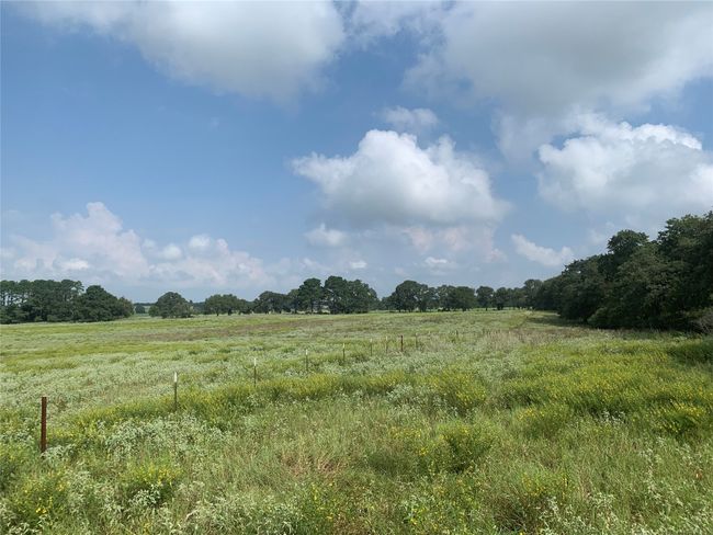 View of undeveloped land with rural landscape | Image 4