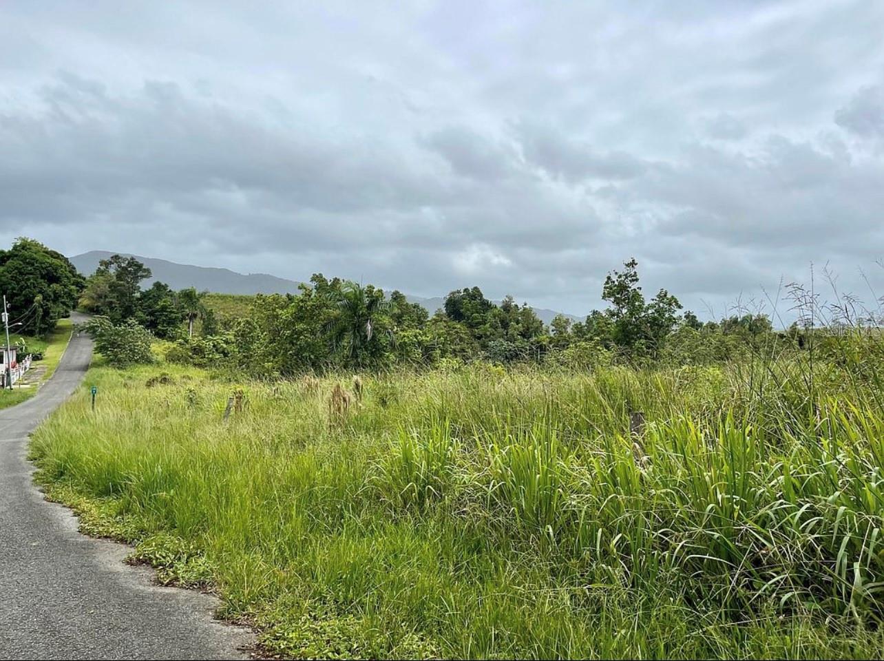 Land en venta en CEIBA, 975 CEIBA , BO RIO ABAJO
