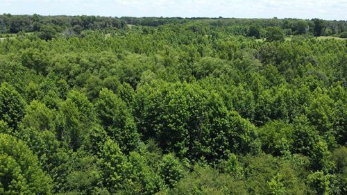 401 County Road 2920, Golden, TX, 75444 | Card Image