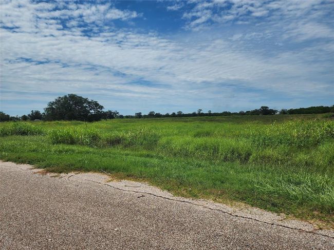 16410 Majestic Oaks Dr, Home with 0 bedrooms, 0 bathrooms and null parking in Rosharon TX | Image 5