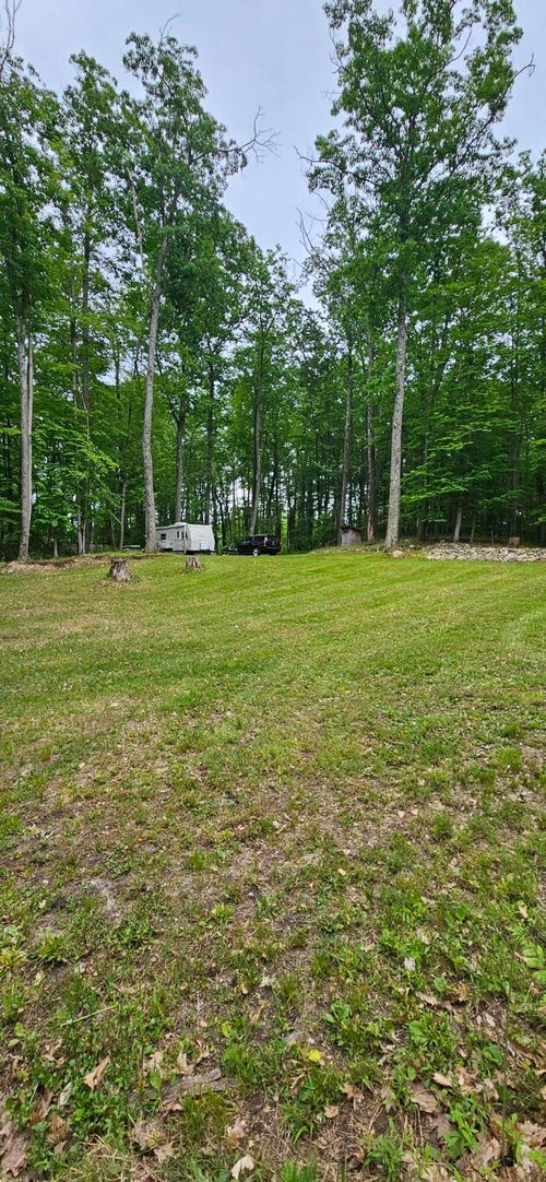 10527 Wampum Trail, Evart, MI, 49631 | Card Image