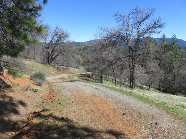 4196 Bald Mountain Rd, Home with 0 bedrooms, 0 bathrooms and null parking in West Point CA | Image 29