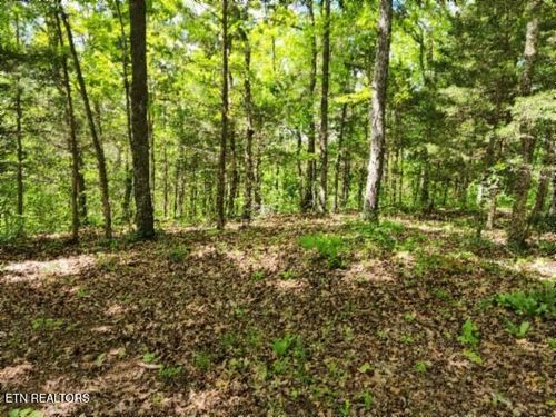 10.13ac Forest Trails Lane, Celina, TN, 38551 | Card Image