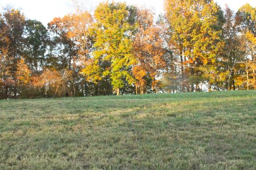 125 Miramare Way, Adams, TN, 37010-9201 | Card Image