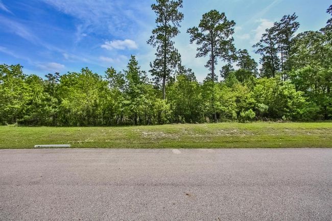 27588 S Lazy Meadow Way, Home with 0 bedrooms, 0 bathrooms and null parking in Spring TX | Image 4