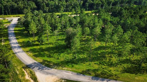 TBD Ridge Lake Rd, Livingston, TX, 77351 | Card Image