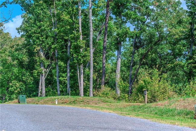 50 Jakes Landing Way S, Home with 0 bedrooms, 0 bathrooms and null parking in Ellijay GA | Image 22