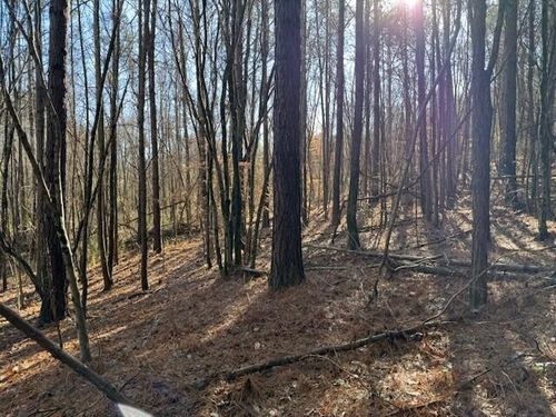 7 Us Highway 11, Valley Head, AL, 35989 | Card Image