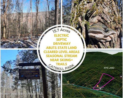Tbd Rider Hollow Road, Hardenburgh, NY, 12406 | Card Image