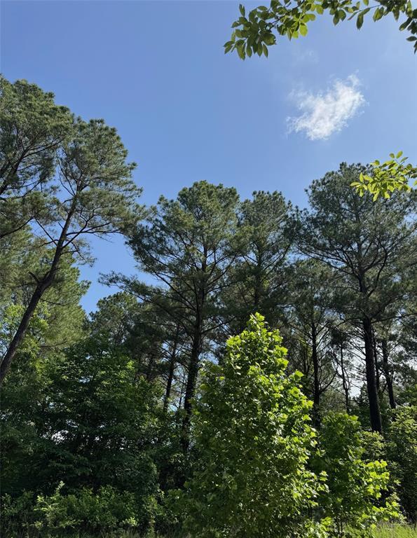 Land in Broken Bow 5