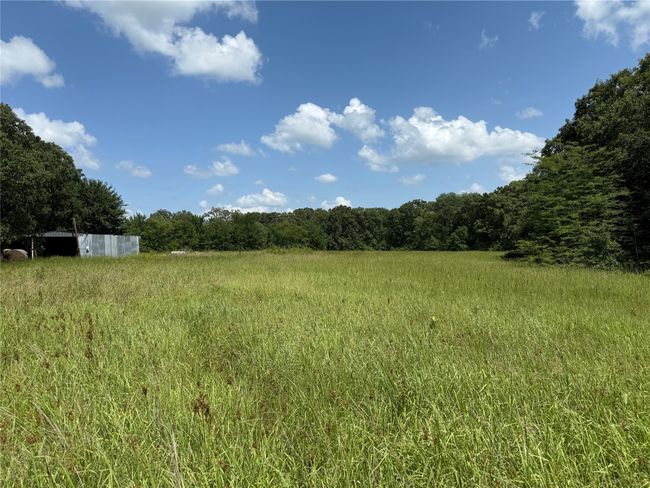 View of yard with a forest view and a view of countryside | Image 5