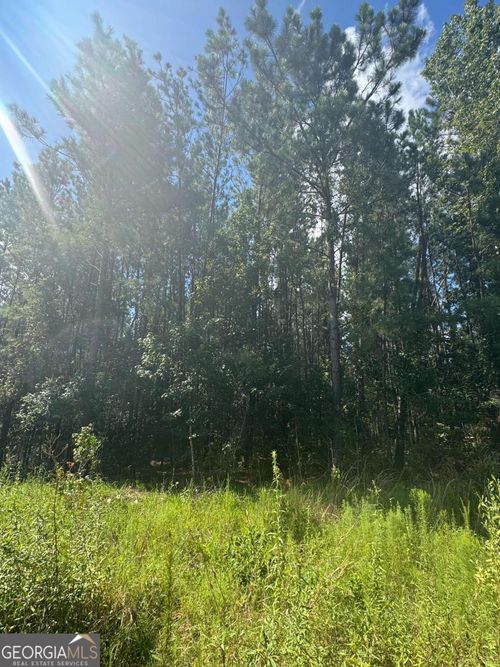0 Dubberly Rd, Baxley, GA, 31513 | Card Image