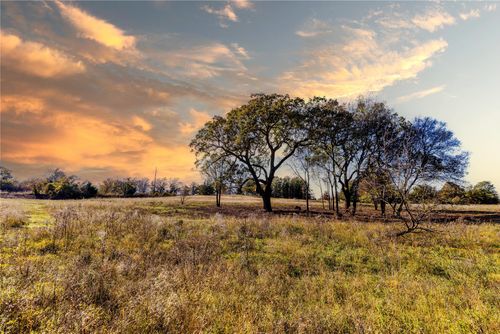 Tract 4 Lazy E Rd, Saint Jo, TX, 76265 | Card Image