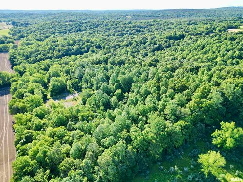 000 Yellow Springs Road, Elizabethtown, IL, 62931 | Card Image