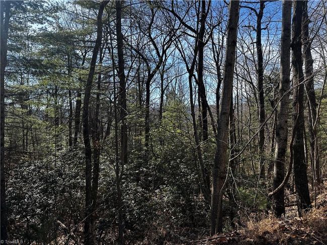 209 Casey Mountain Rd, Home with 0 bedrooms, 0 bathrooms and null parking in Purlear NC | Image 10