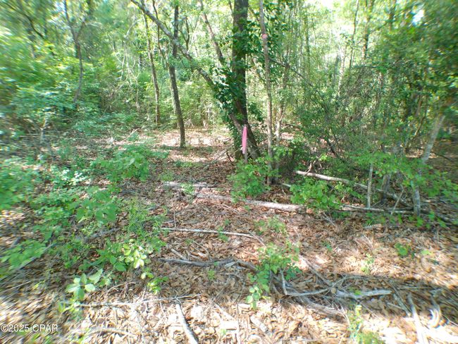 1725 - 00 Christian Life Rd, Home with 0 bedrooms, 0 bathrooms and null parking in Defuniak Springs FL | Image 4