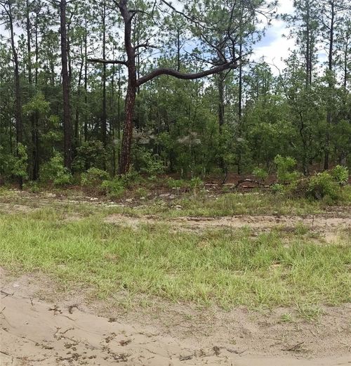 00 Sw 69 Place, OCALA, FL, 34481 | Card Image