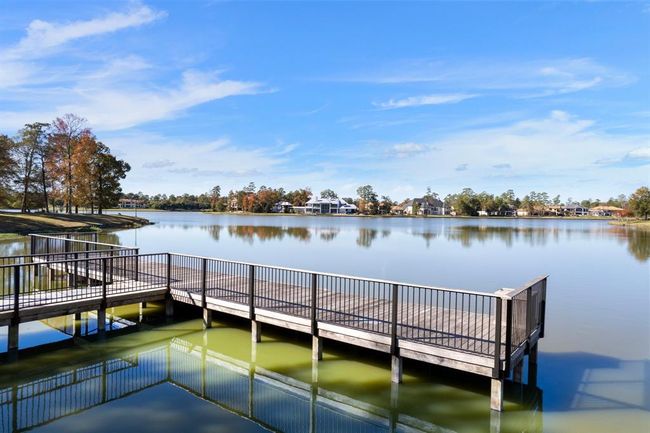 27414 Siandra Creek Ln, House other with 4 bedrooms, 6 bathrooms and null parking in Spring TX | Image 47