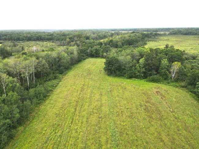 dji_fly_20240822_104926_583_1724341825595_photo.jpeg | Image 7
