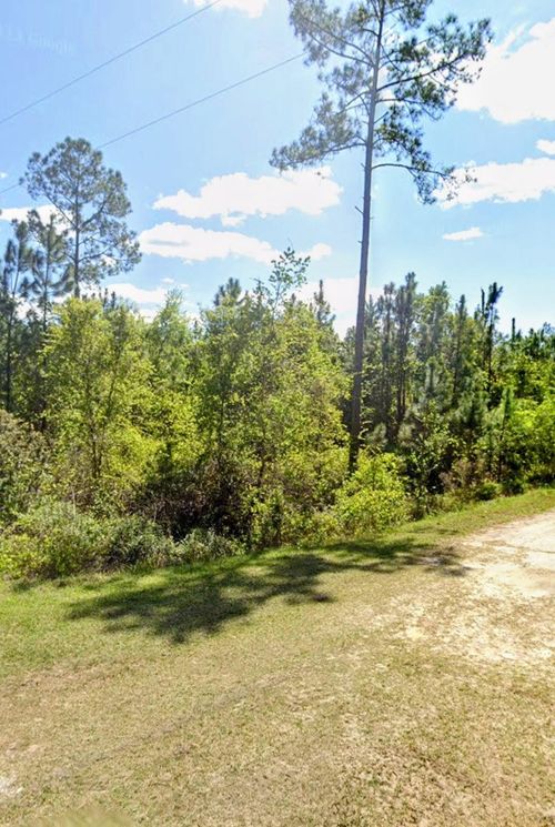 TBD Birch Blvd, Georgetown, FL, 32139 | Card Image
