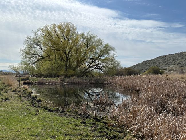 View of water feature with a mountain view | Image 12