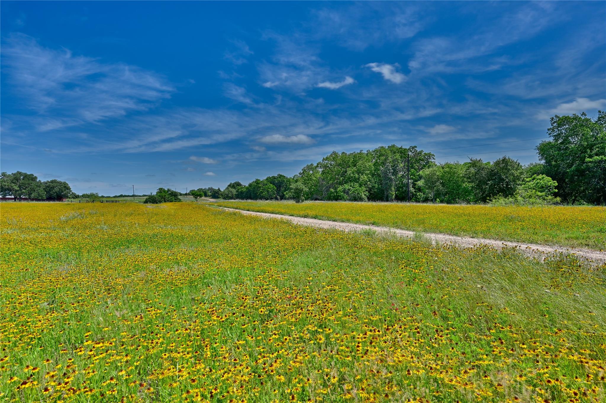 Farm in Weimar 5