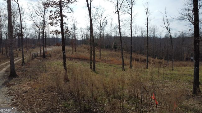 1.70 ACRES Wilkinson Rd, Home with 0 bedrooms, 0 bathrooms and null parking in Baldwin GA | Image 8