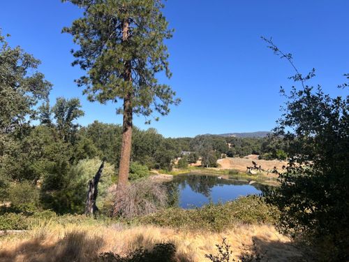 16 Lulniu Ln, Ahwahnee, CA, 93601 | Card Image