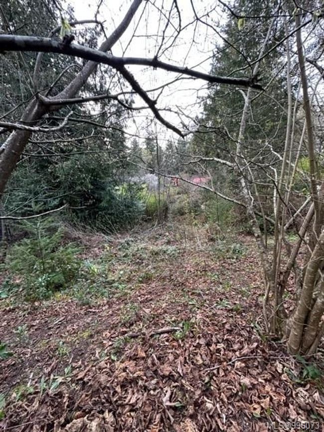24 Captain Kidds Terr, Home with 0 bedrooms, 0 bathrooms and 1 parking in Nanaimo BC | Image 7