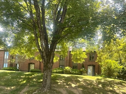 1-1 Eaton Ct, Amherst, MA, 01002-2827 | Card Image