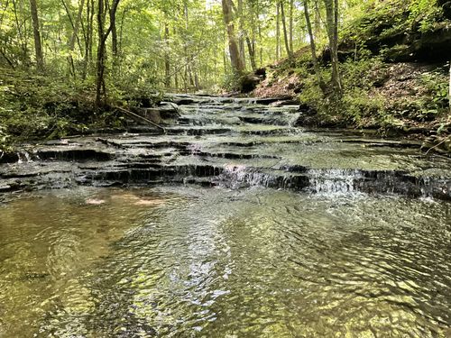 0 Fergus Ln, Tullahoma, TN, 37388 | Card Image