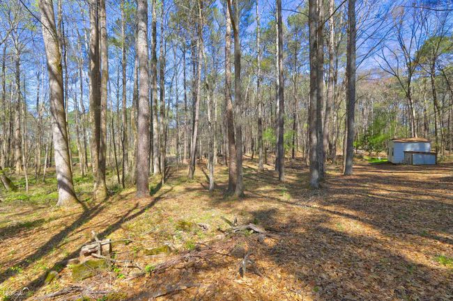 2444 Marion Ivie Rd, House other with 4 bedrooms, 4 bathrooms and null parking in Good Hope GA | Image 55