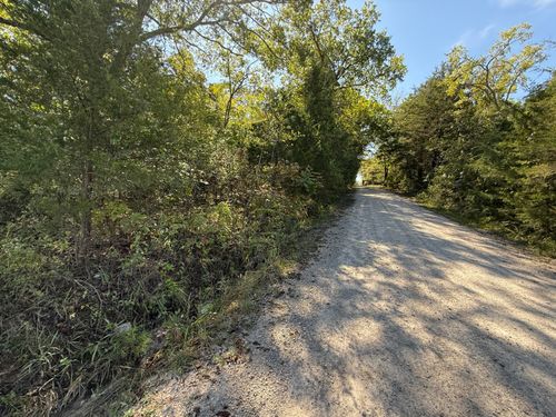 Lot 1 Daisy Ln, Lampe, MO, 65681-7445 | Card Image