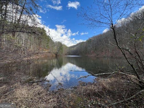 542 Lost Silver Mine Road, Cisco, GA, 30708 | Card Image