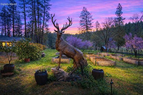 29276 Bullskin Ridge Rd, Oak Run, CA, 96069-9573 | Card Image