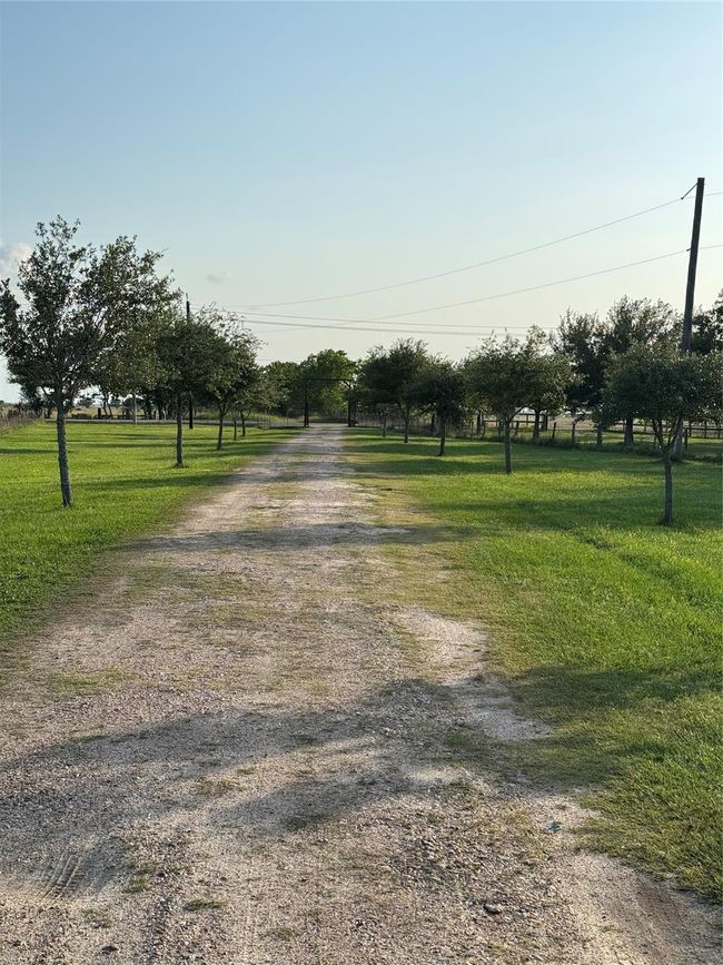 2310 Hopkins Rd, Home with 4 bedrooms, 2 bathrooms and null parking in Beasley TX | Image 4