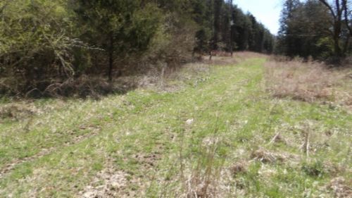 90 Ac Baugh Hollow Rd, Gainesboro, TN, 38562 | Card Image