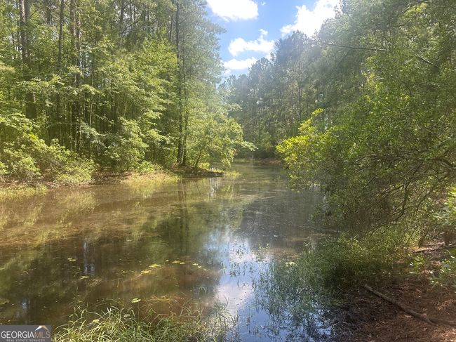 925 Cleary Rd, House other with 3 bedrooms, 2 bathrooms and null parking in Brooklet GA | Image 40