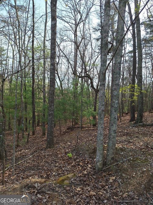 0 Mull Lane Cir, Morganton, GA, 30560 | Card Image