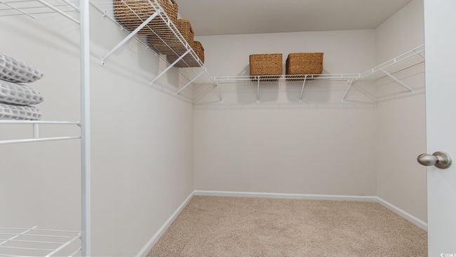 Spacious closet with carpet | Image 16